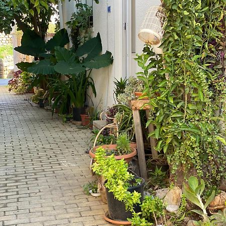 Grandmother'S House ฟามากุสต้า ภายนอก รูปภาพ