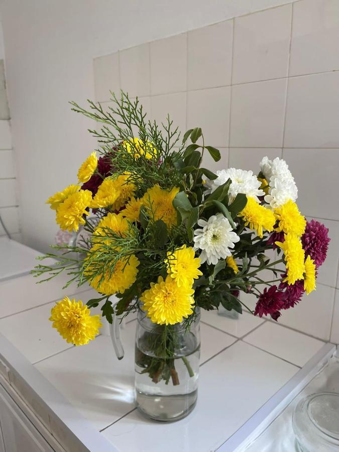Grandmother'S House ฟามากุสต้า ภายนอก รูปภาพ