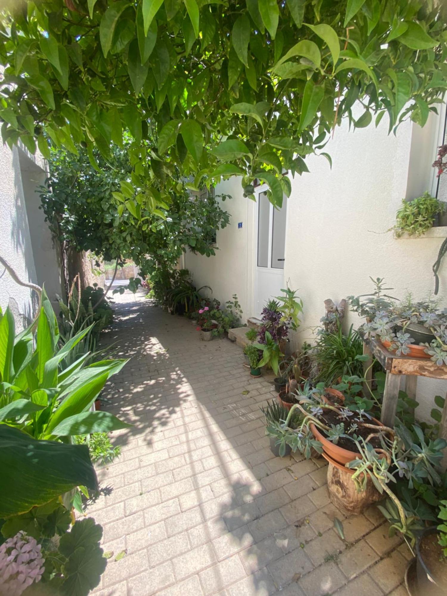 Grandmother'S House ฟามากุสต้า ภายนอก รูปภาพ