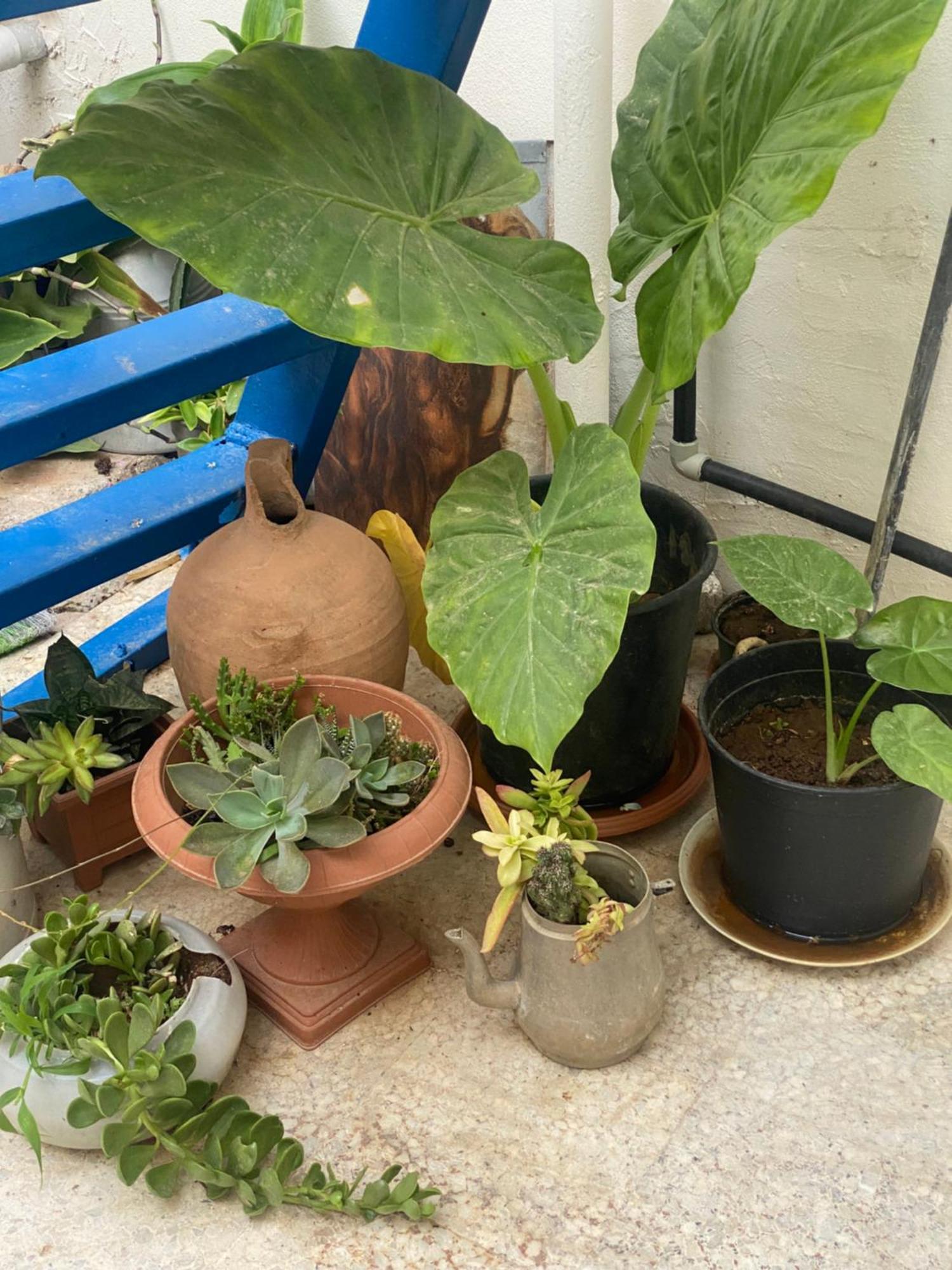 Grandmother'S House ฟามากุสต้า ภายนอก รูปภาพ